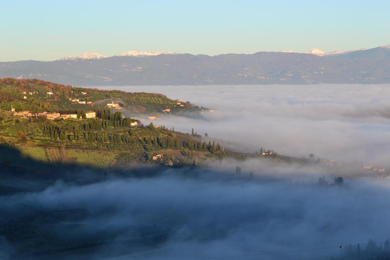 Agriturismo Tenuta Di Capezzana Seano Exterior photo