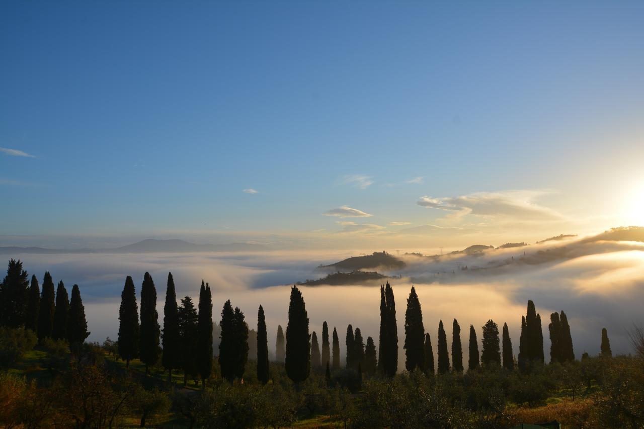 Agriturismo Tenuta Di Capezzana Seano Exterior photo